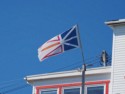 Newfoundland flag